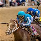 kentucky derby horses to bet on